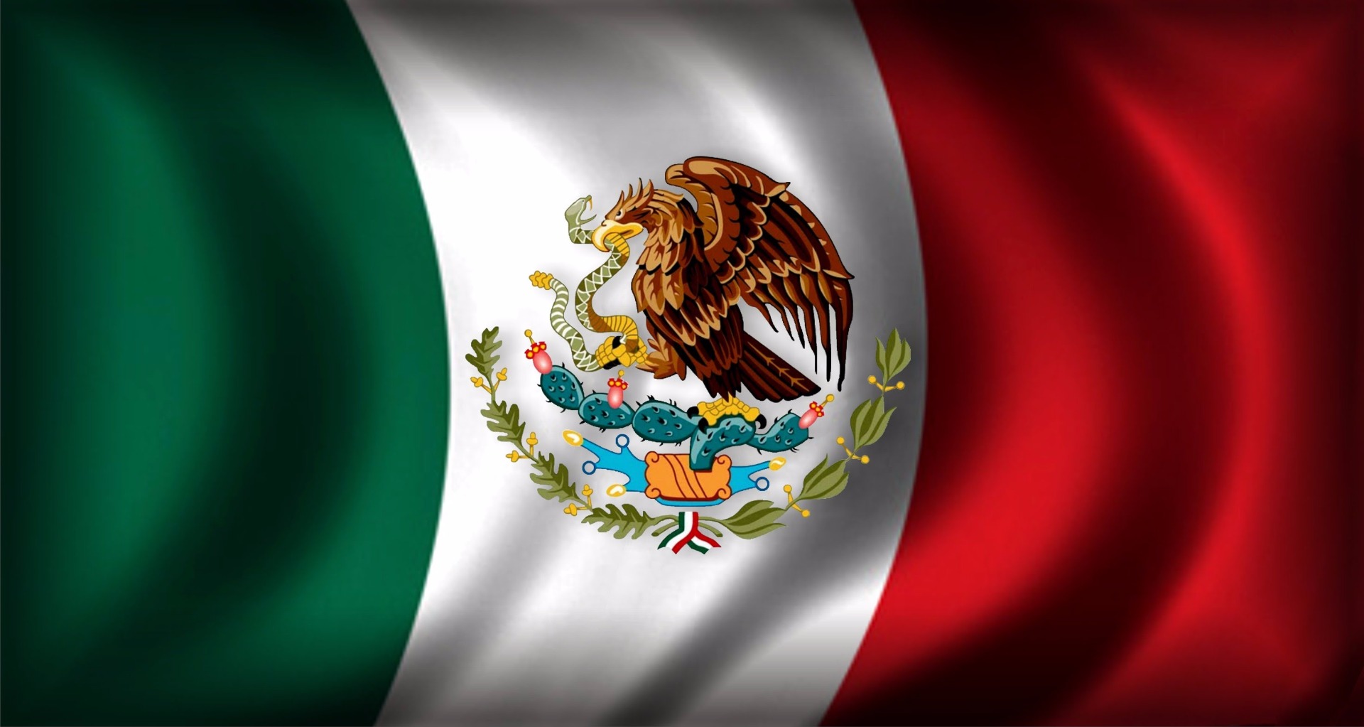 Somos una firma mexicana trabajando para usted.
